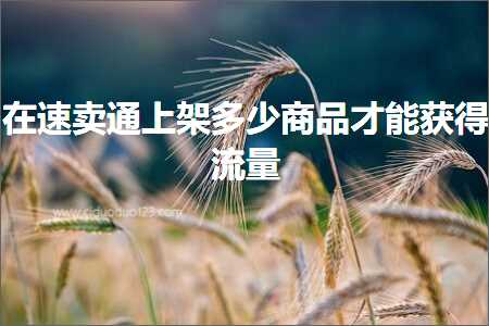 怎么推广淘宝客网站 跨境电商知识:在速卖通上架多少商品才能获得流量